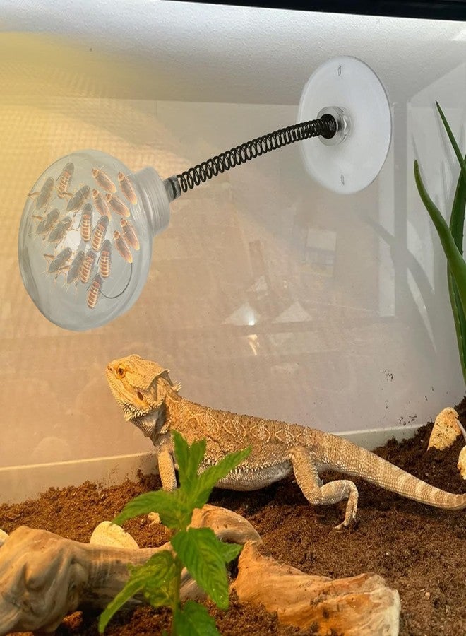 FlidRunest Bearded Dragon Toy Ball with Large Suction Cup, Interactive Bearded Dragon Spring Ball Toy, Reptile Insects Treat Enrichment Feeding Ball Toy for Lizard, Bearded Dragon - Image 5